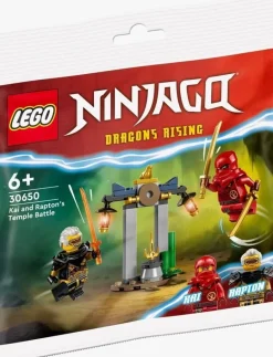 The Brick Show Shop Kai and Rapton's Temple Battle - LEGO Ninjago Rising Polybag Set (3065